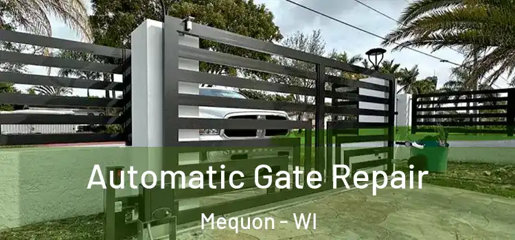 Automatic Gate Repair Mequon - WI