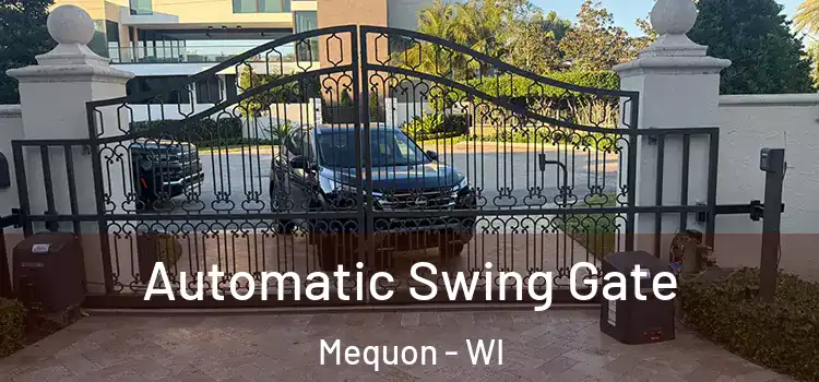  Automatic Swing Gate Mequon - WI