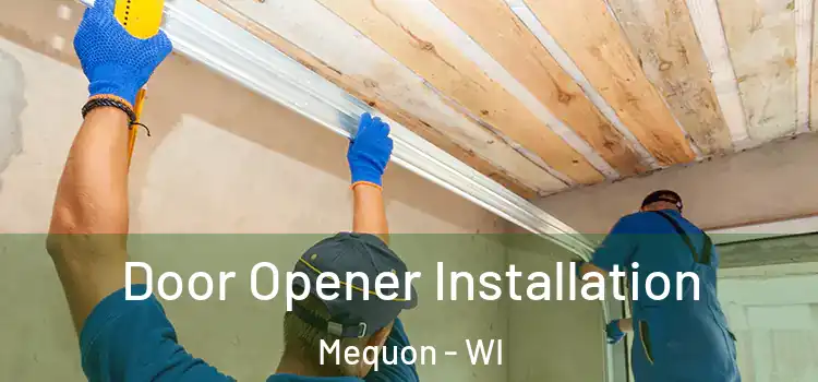  Door Opener Installation Mequon - WI