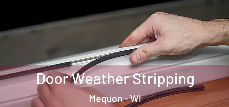 Door Weather Stripping Mequon - WI