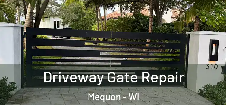 Driveway Gate Repair Mequon - WI