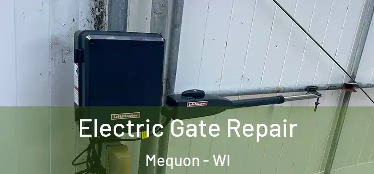 Electric Gate Repair Mequon - WI