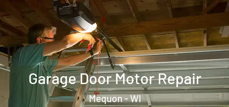  Garage Door Motor Repair Mequon - WI