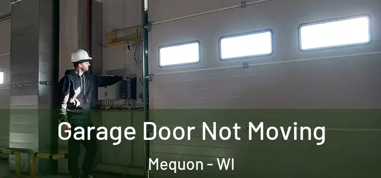  Garage Door Not Moving Mequon - WI