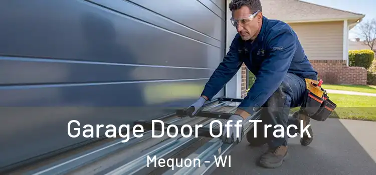  Garage Door Off Track Mequon - WI