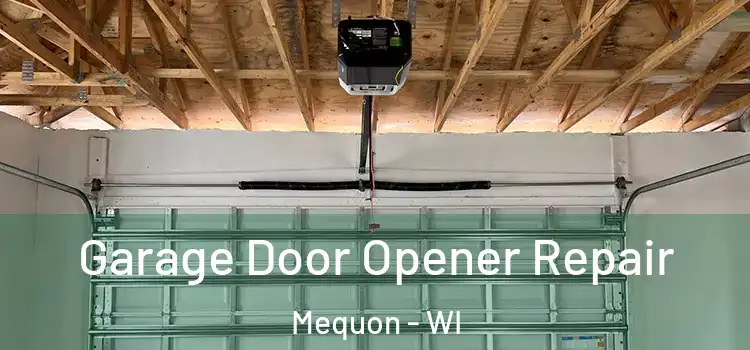  Garage Door Opener Repair Mequon - WI