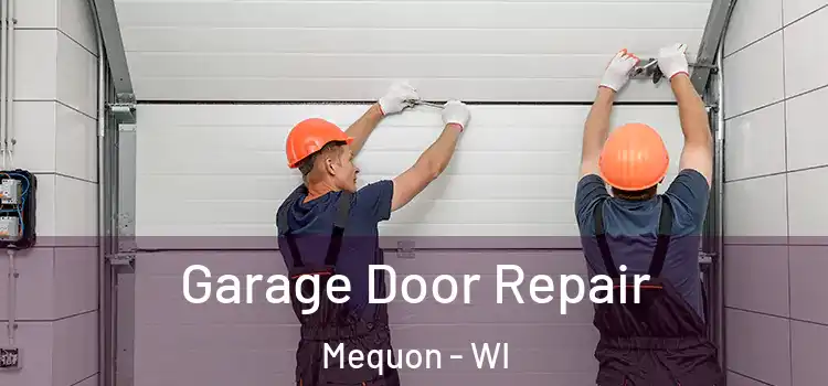  Garage Door Repair Mequon - WI