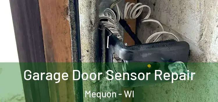 Garage Door Sensor Repair Mequon - WI