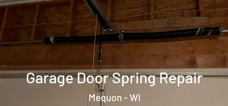  Garage Door Spring Repair Mequon - WI