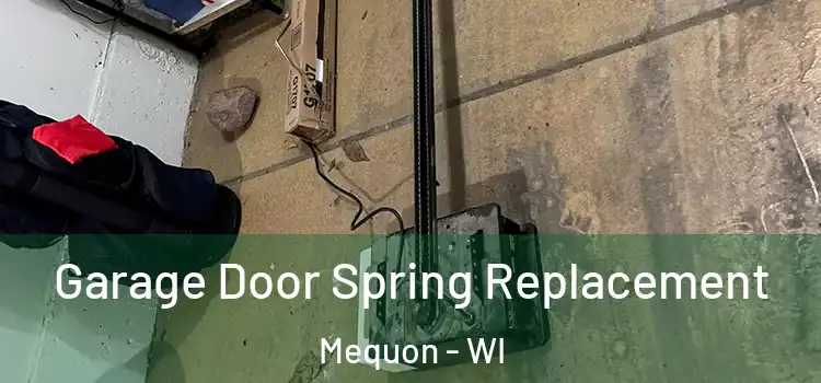  Garage Door Spring Replacement Mequon - WI