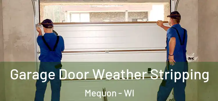  Garage Door Weather Stripping Mequon - WI
