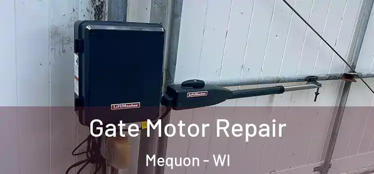 Gate Motor Repair Mequon - WI