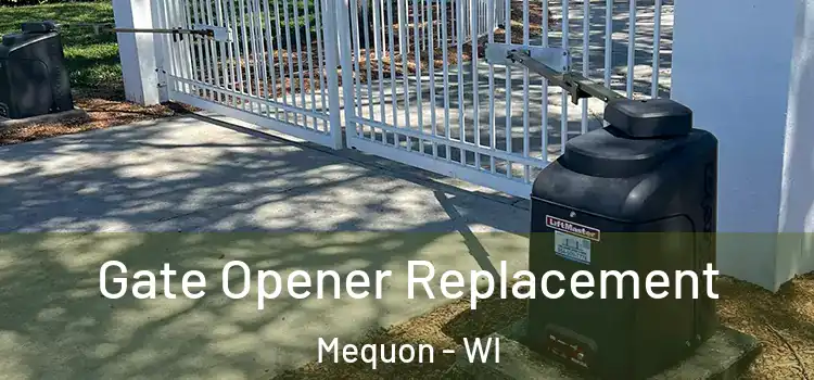  Gate Opener Replacement Mequon - WI