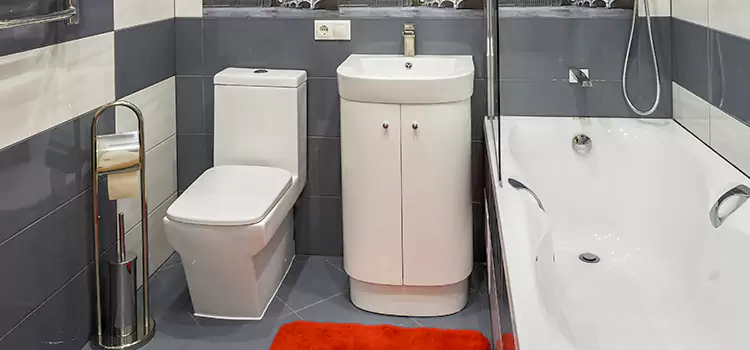 Hansgrohe Shaving Mirror Mequon