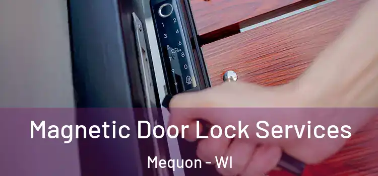  Magnetic Door Lock Services Mequon - WI