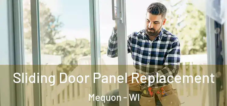  Sliding Door Panel Replacement Mequon - WI