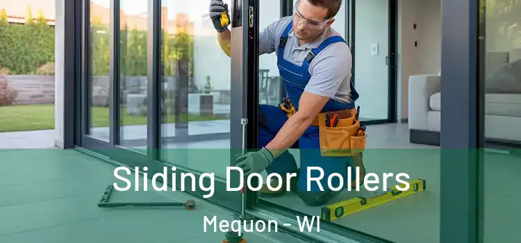 Sliding Door Rollers Mequon - WI