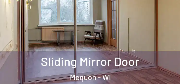  Sliding Mirror Door Mequon - WI
