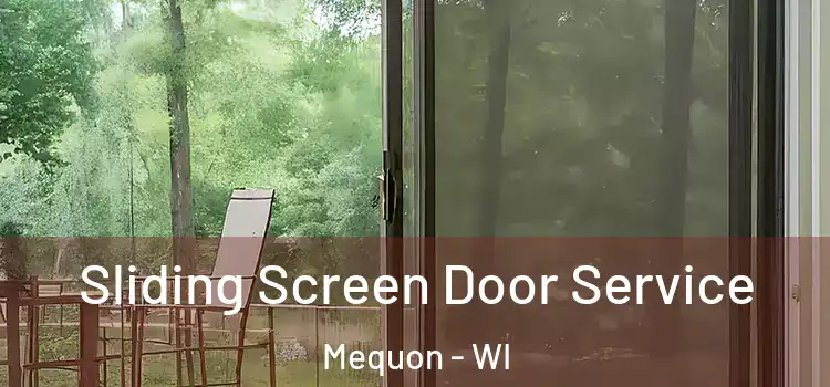Sliding Screen Door Service Mequon - WI