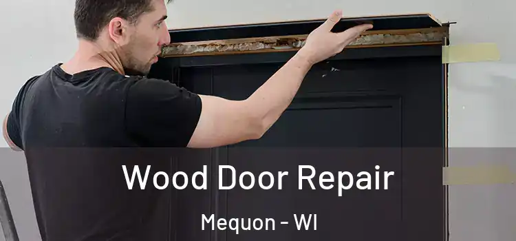  Wood Door Repair Mequon - WI