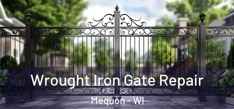 Wrought Iron Gate Repair Mequon - WI
